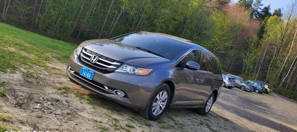 śląskie Honda Odyssey cena 74999 przebieg: 155000, rok produkcji 2016 z Byczyna